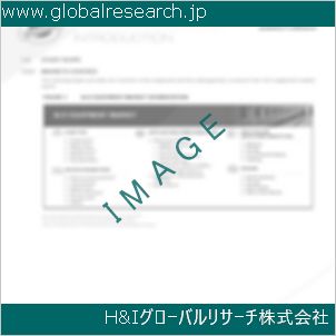 グローバルリサーチ調査資料のイメージ